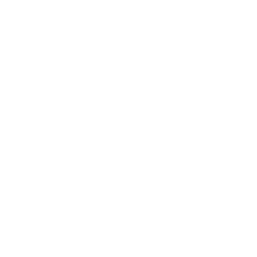 Zoom Van
